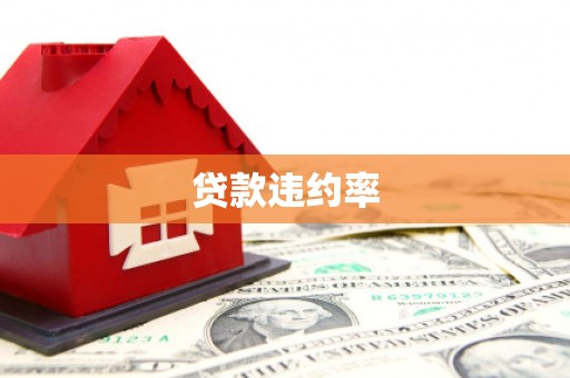 集美贷款违约率