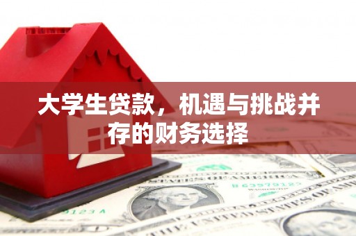 集美大学生贷款，机遇与挑战并存的财务选择