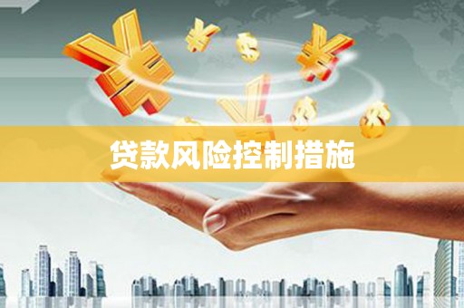 集美贷款风险控制措施