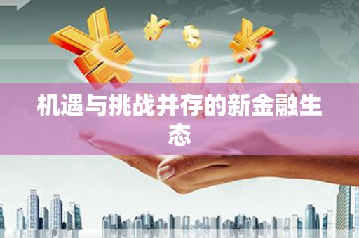 集美机遇与挑战并存的新金融生态