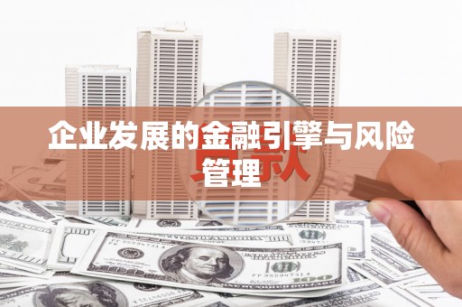 集美企业发展的金融引擎与风险管理
