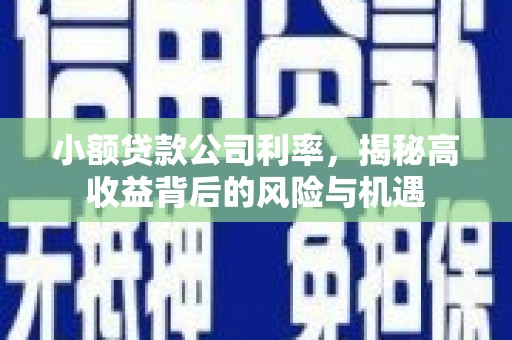 集美小额贷款公司利率，揭秘高收益背后的风险与机遇