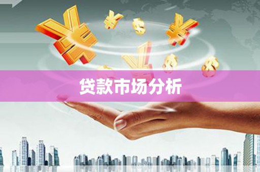 集美贷款市场分析