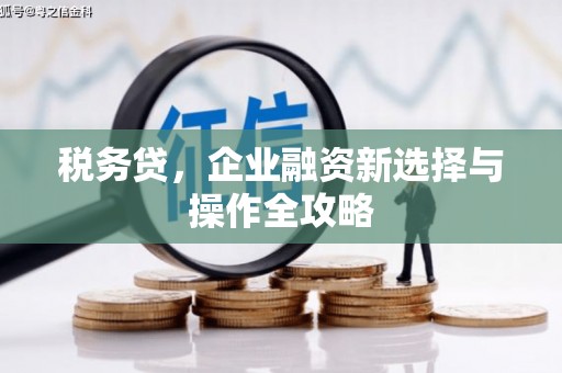 集美税务贷，企业融资新选择与操作全攻略