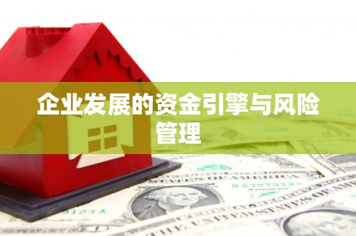 集美企业发展的资金引擎与风险管理