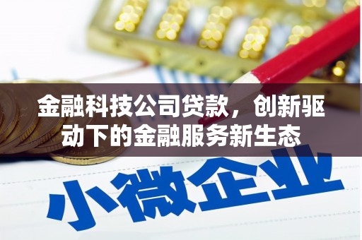 集美金融科技公司贷款，创新驱动下的金融服务新生态
