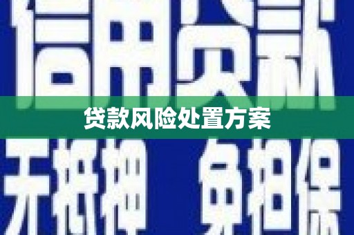 集美贷款风险处置方案