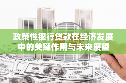 集美政策性银行贷款在经济发展中的关键作用与未来展望