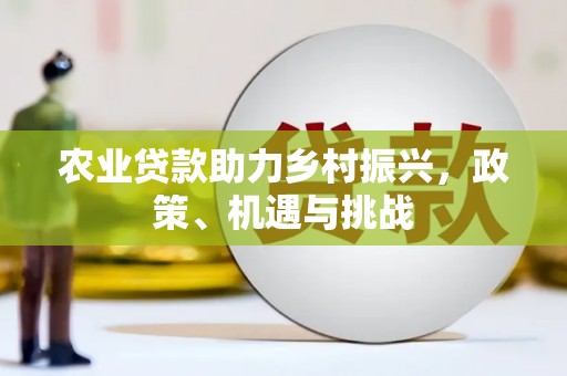 集美农业贷款助力乡村振兴，政策、机遇与挑战