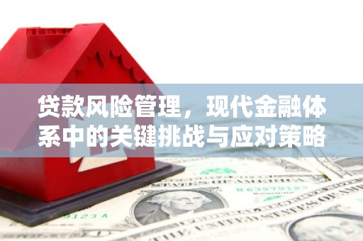 集美贷款风险管理，现代金融体系中的关键挑战与应对策略