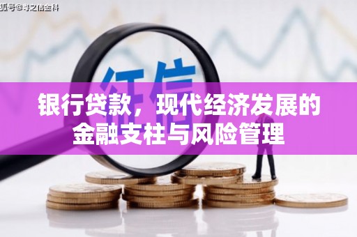 集美银行贷款，现代经济发展的金融支柱与风险管理