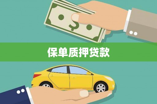集美保单质押贷款