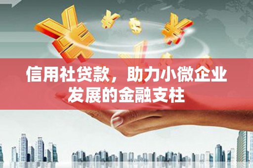 集美信用社贷款，助力小微企业发展的金融支柱