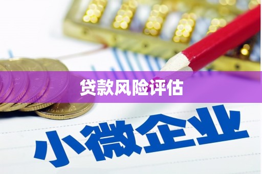 集美贷款风险评估