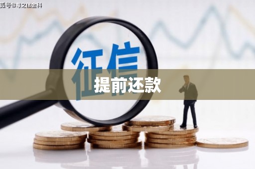 集美提前还款