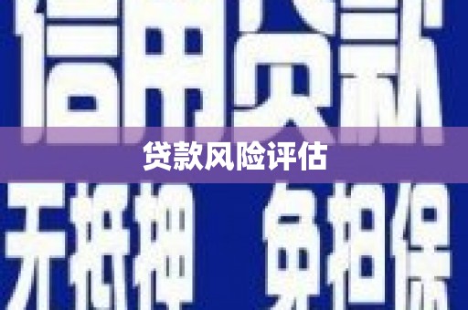 集美贷款风险评估