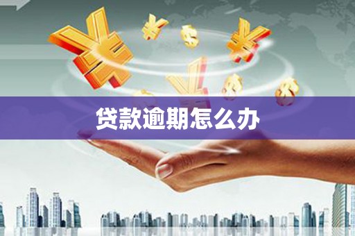 集美贷款逾期怎么办