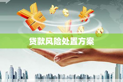 集美贷款风险处置方案