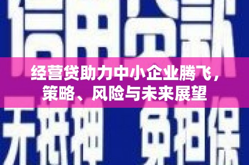 集美经营贷助力中小企业腾飞，策略、风险与未来展望