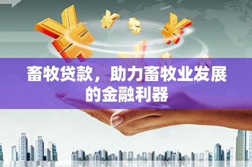 集美畜牧贷款，助力畜牧业发展的金融利器