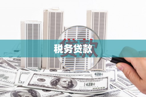集美税务贷款