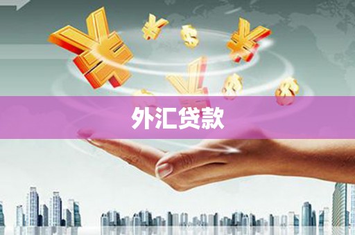 集美外汇贷款