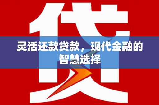 集美灵活还款贷款，现代金融的智慧选择