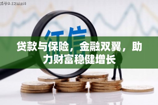 集美贷款与保险，金融双翼，助力财富稳健增长