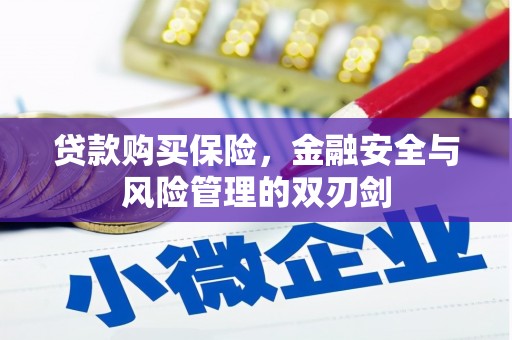 集美贷款购买保险，金融安全与风险管理的双刃剑