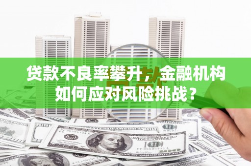 集美贷款不良率攀升，金融机构如何应对风险挑战？