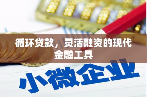 集美循环贷款，灵活融资的现代金融工具