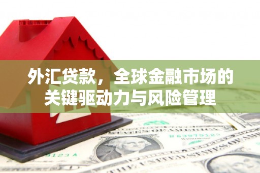 集美外汇贷款，全球金融市场的关键驱动力与风险管理