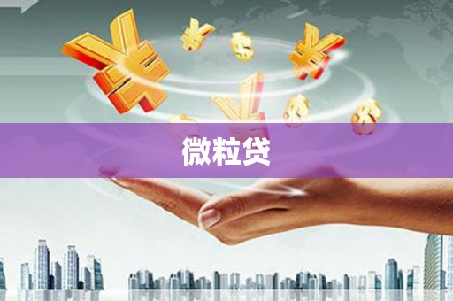 集美微粒贷