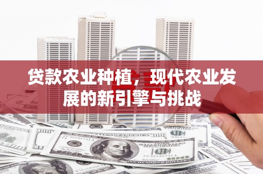 集美贷款农业种植，现代农业发展的新引擎与挑战