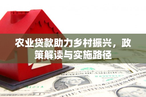 集美农业贷款助力乡村振兴，政策解读与实施路径