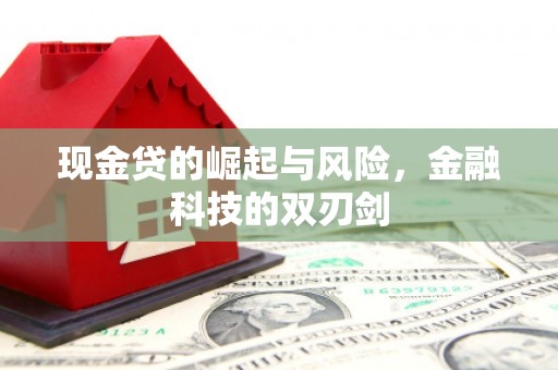 集美现金贷的崛起与风险，金融科技的双刃剑