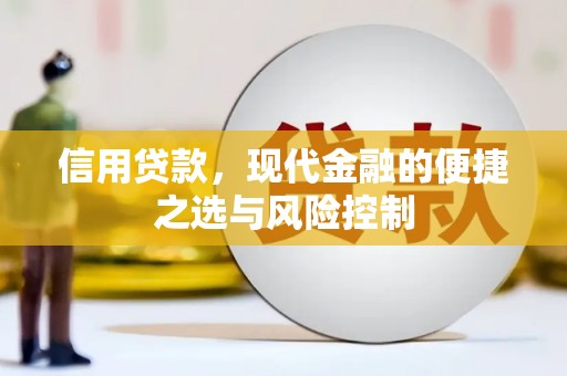 集美信用贷款，现代金融的便捷之选与风险控制
