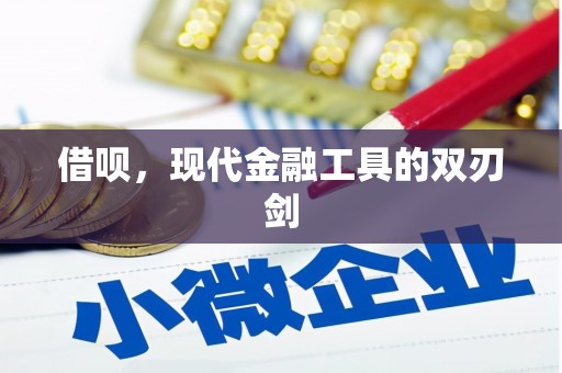 集美借呗，现代金融工具的双刃剑