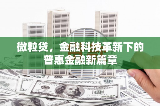 集美微粒贷，金融科技革新下的普惠金融新篇章