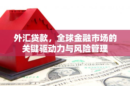 集美外汇贷款，全球金融市场的关键驱动力与风险管理
