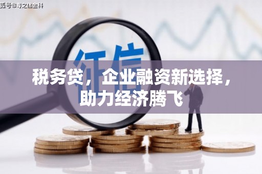集美税务贷，企业融资新选择，助力经济腾飞