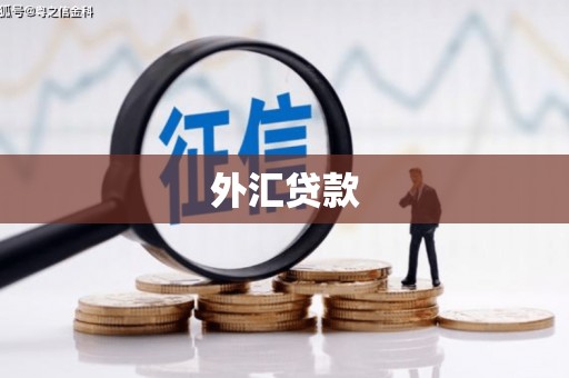 集美外汇贷款