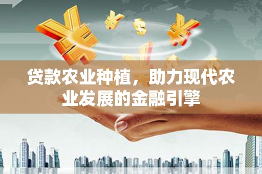 集美贷款农业种植，助力现代农业发展的金融引擎