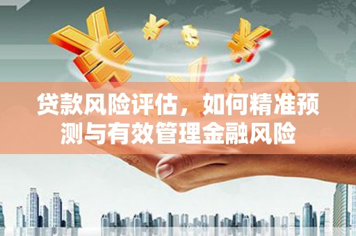 集美贷款风险评估，如何精准预测与有效管理金融风险