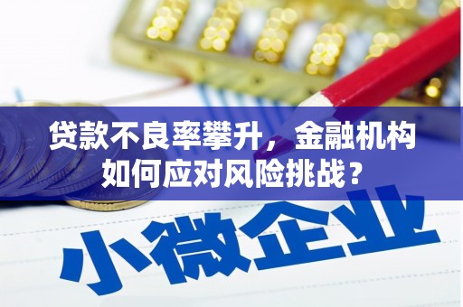 集美贷款不良率攀升，金融机构如何应对风险挑战？