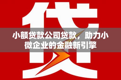 集美小额贷款公司贷款，助力小微企业的金融新引擎