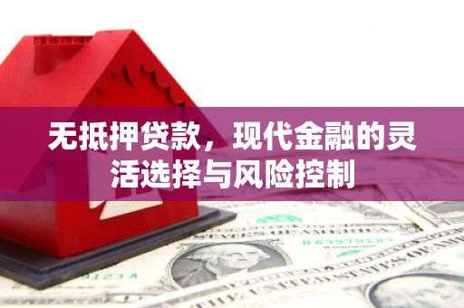 集美无抵押贷款，现代金融的灵活选择与风险控制