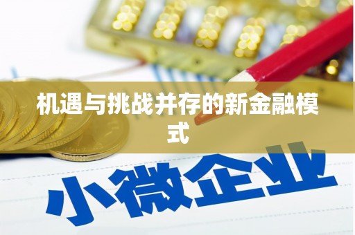 集美机遇与挑战并存的新金融模式