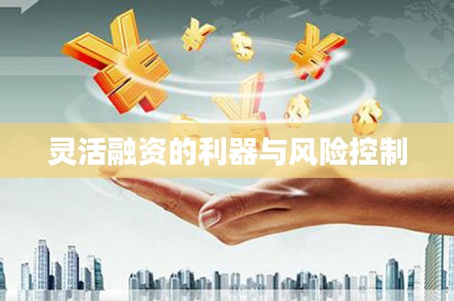 集美灵活融资的利器与风险控制