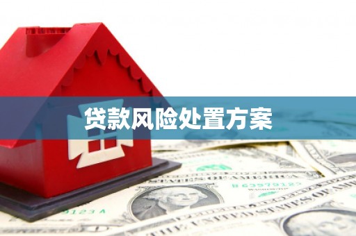 集美贷款风险处置方案